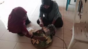 DESA PRIMA